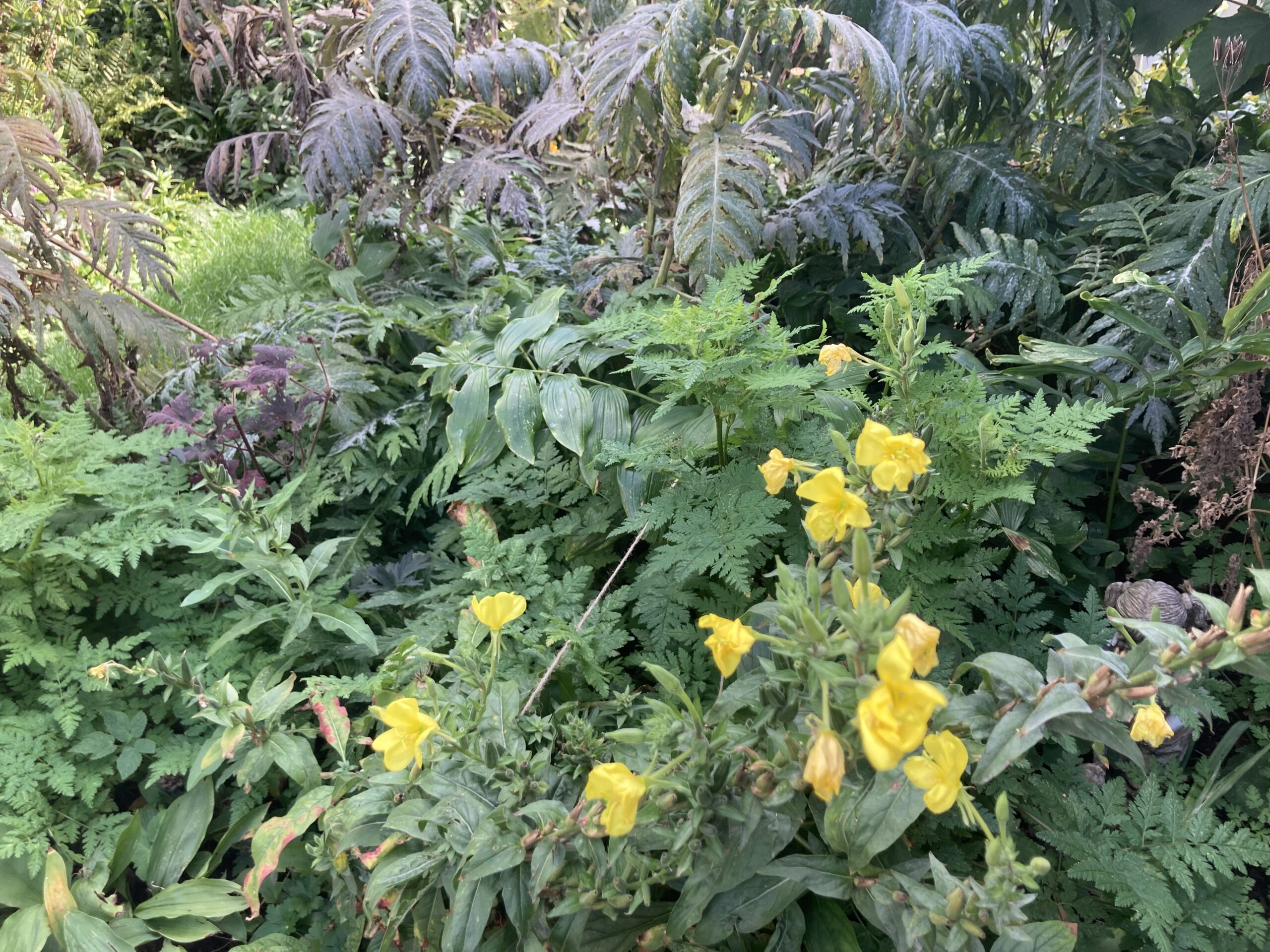 What Are Herbs? Their Haunting Secrets and the Power and History of UK Herbs