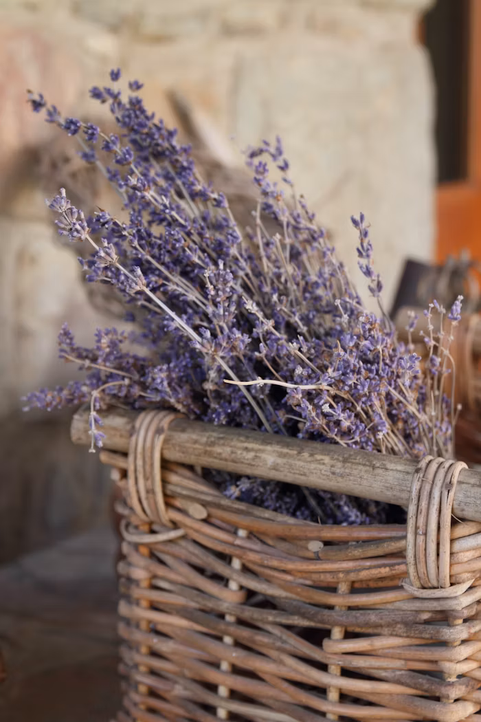 A bunch of dried lavender in a rustic basket