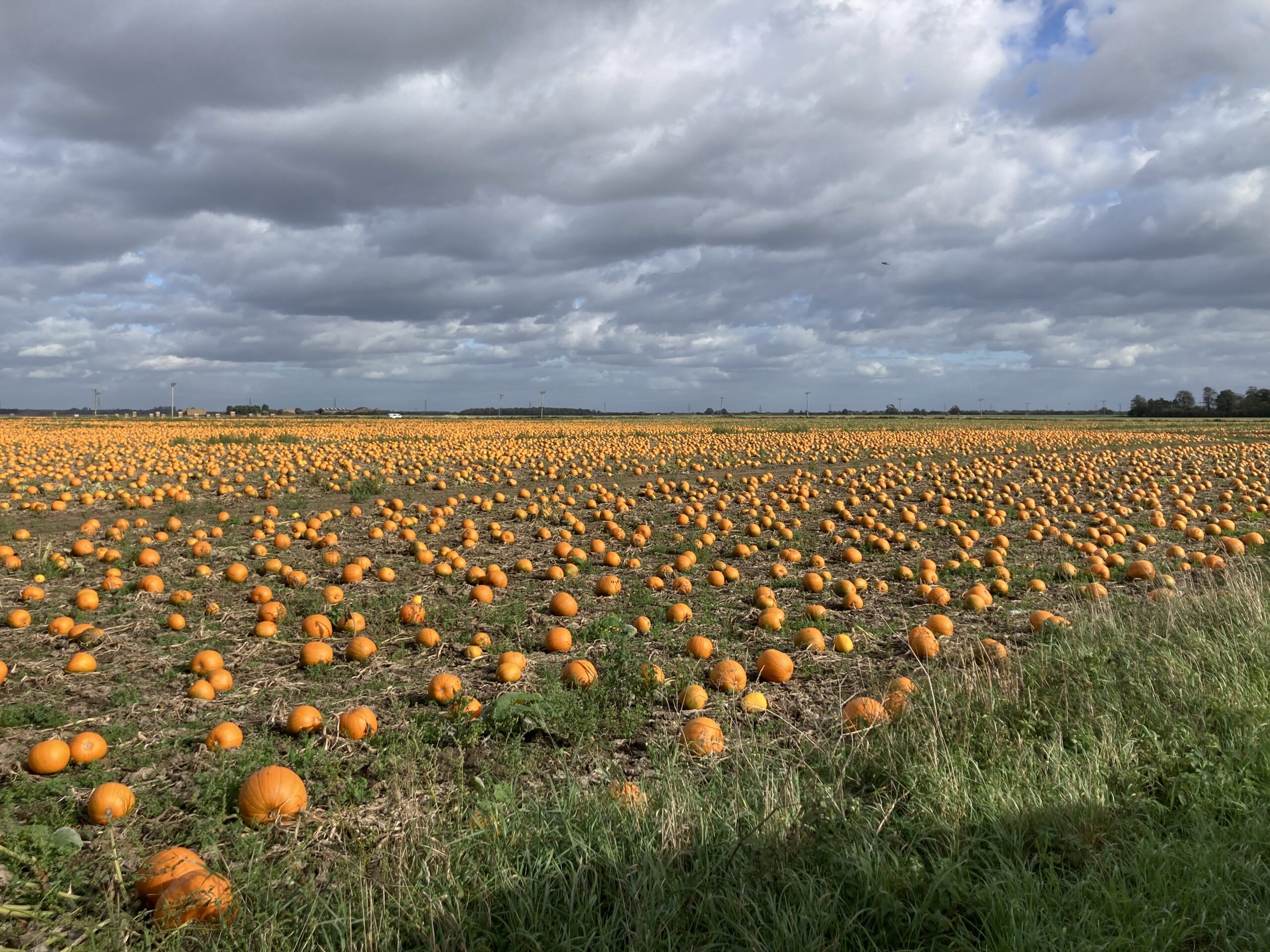 The Mystery of the Fens: Hunting for Ghosts, Witches and Landscape