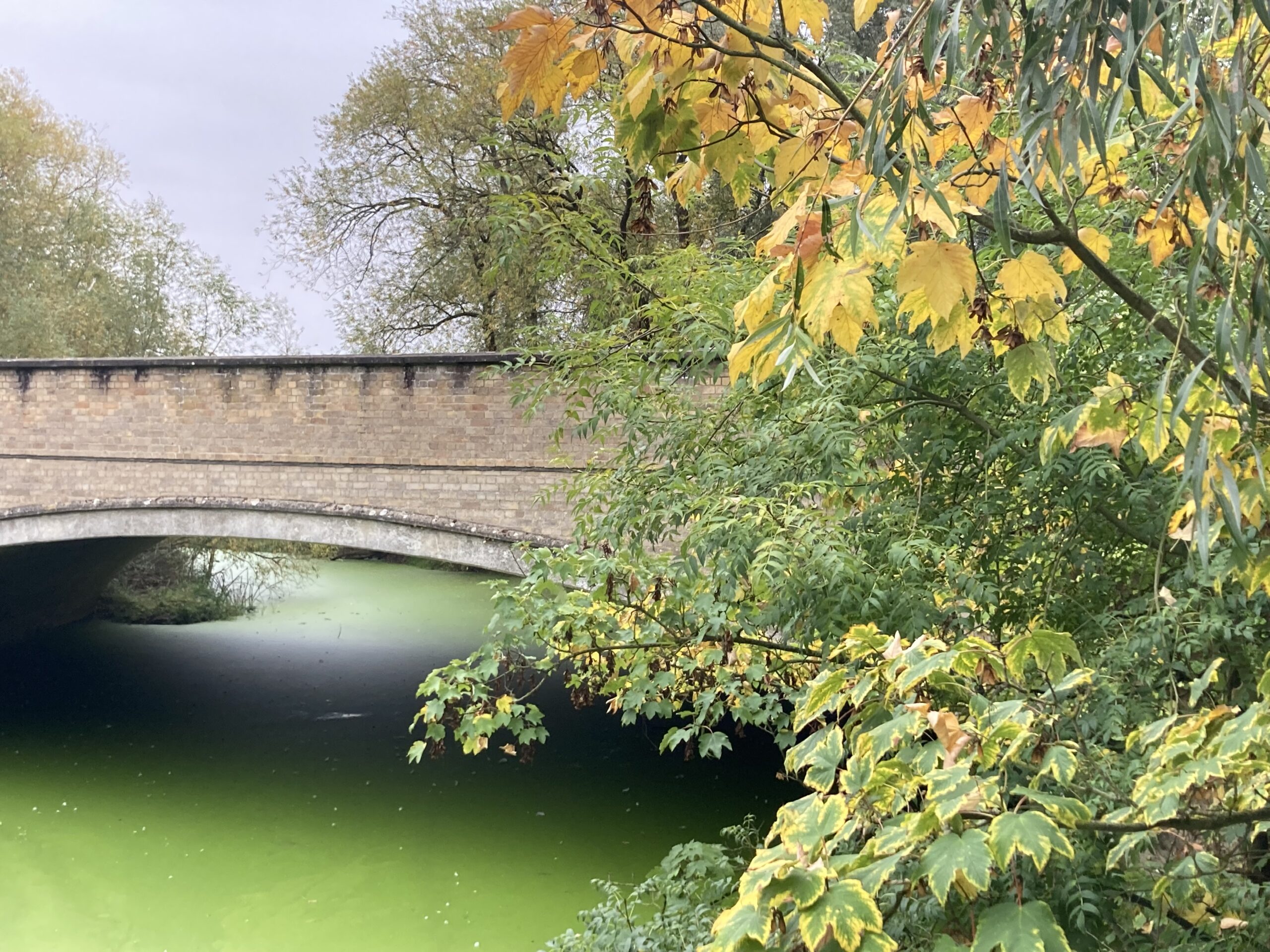 The Unrest of East Anglia: Nun’s Bridge, Executed Lovers, Black Dogs,and the Riddle of Hinchingbrooke House
