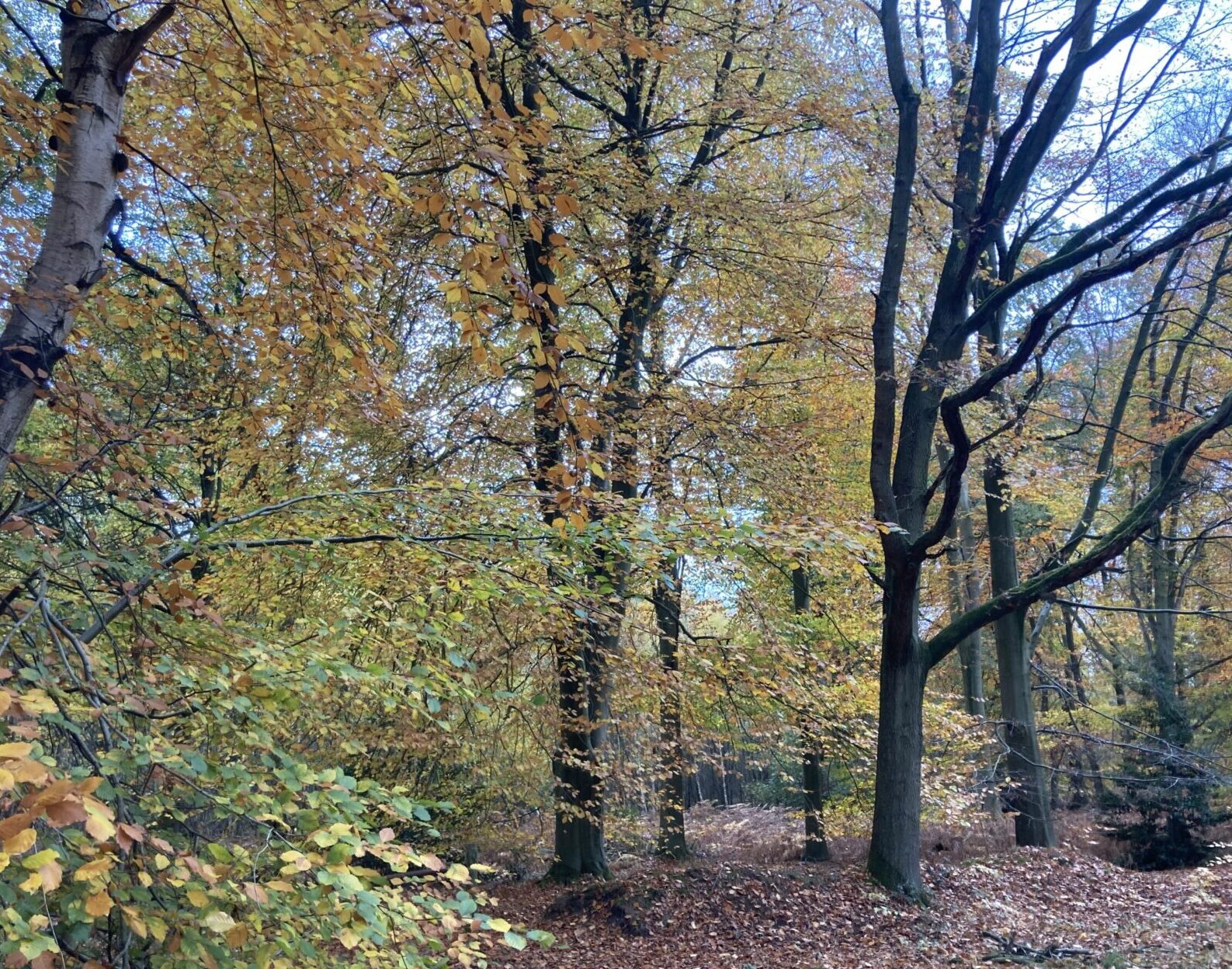 The Peak District: An Autumn Walk Through it’s Ancient Secrets